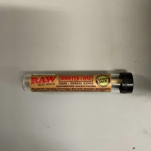 Raw Rocket Booster Boosted Cone