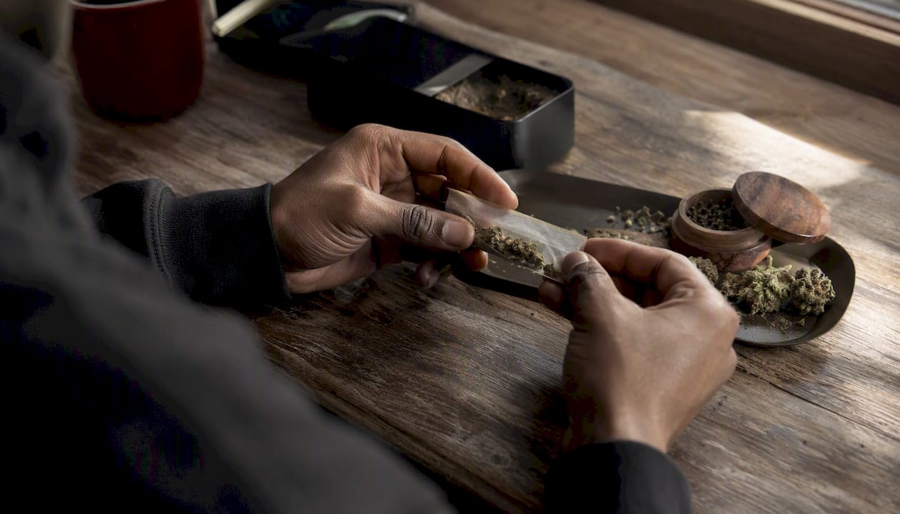 Hands rolling thin cannabis pre-roll