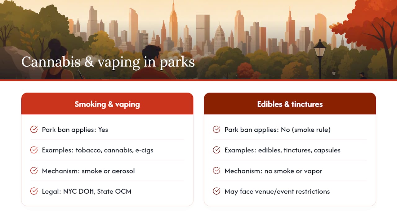 Does the ban cover vaping and cannabis? — overview diagram