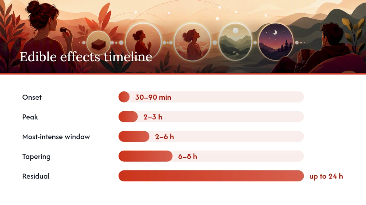 Timeline of edible cannabis high effects