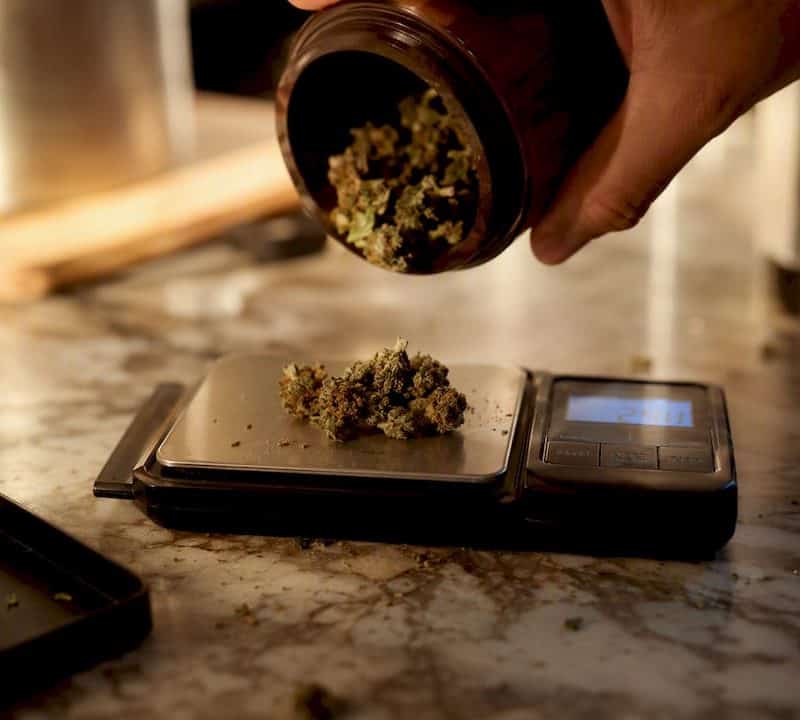 Digital scale weighing cannabis buds