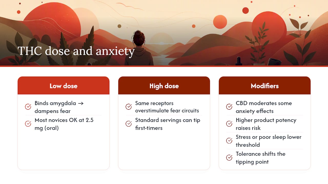 Why Cannabis Can Cause Anxiety in the First Place — overview diagram