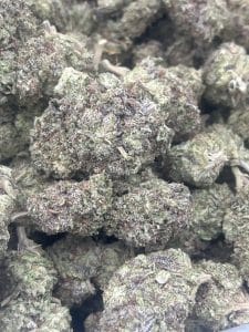 Motorboat Meanace hybrid-indica cannabis flower featuring dense, chunky buds with deep purple undertones, muted green leaves, scattered orange pistils, and a thick coating of frosty white trichomes.