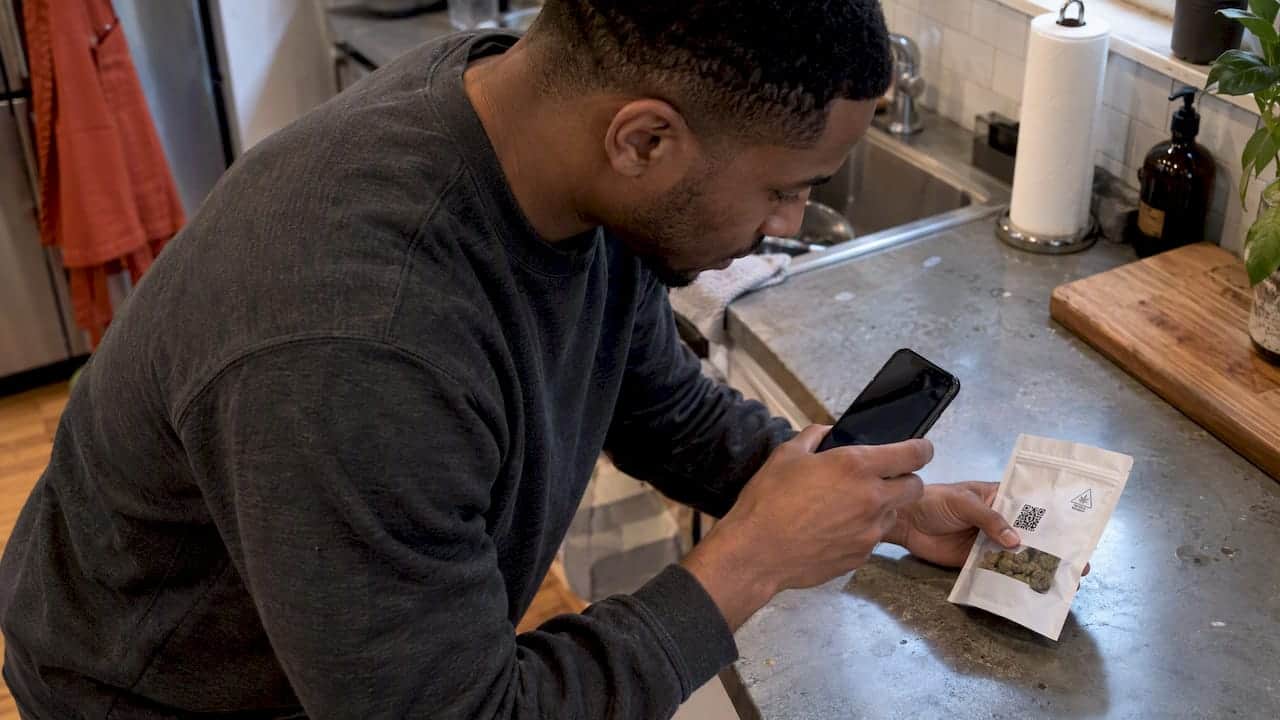 Adult scanning a cannabis package QR code
