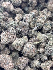 Tightly packed pile of Blue Chips hybrid cannabis buds showing frosty trichomes, purple undertones, and amber pistils