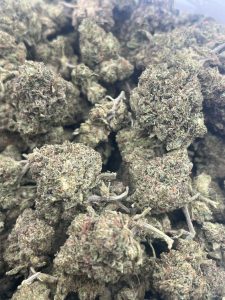Tightly clustered Gas Chamber indica cannabis buds showing dense green foliage, trichome coverage, and rusty pistils