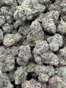 Lemon Drop Zlushie hybrid cannabis flower featuring dense, frosty buds with deep purple and green hues, scattered orange pistils, and a thick coating of crystalline trichomes.