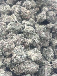 Mint Chocolate Chip hybrid cannabis flower featuring dense, frosty green buds with muted purple undertones, scattered orange pistils, and a thick coating of crystalline trichomes.