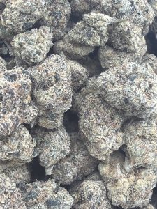 Tightly packed, frosted Rainbow Kush hybrid buds with dark purple hues and amber pistils