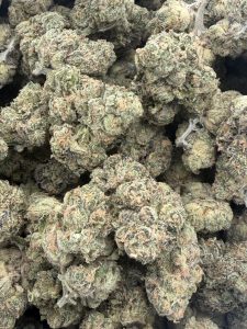 Pile of frosty, dense RS-11 x Mimosa sativa cannabis buds covered in trichomes and light peach pistils