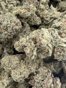 Slice of Heaven hybrid cannabis flower featuring dense mint-green buds with bright orange pistils and a frosty coating of milky amber trichomes.